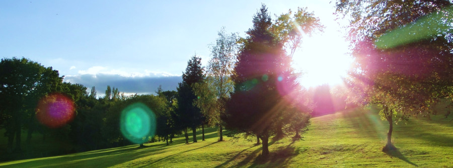 Archive photograph of sunlight and lens flare passing through Farthingstone’s trees, casting long shadows across the grass.